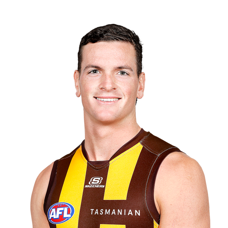 Hawthorn Hawks News AFL 2024 Zero Hanger